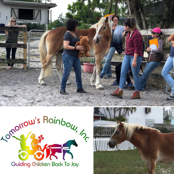 Tomorrows Rainbow - Helping the MSD Community Through Group Programs