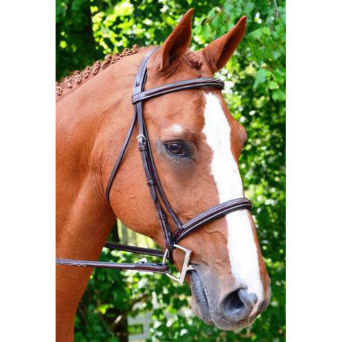 KL Select Black Oak Aster Fancy Stitched Hunter Bridle